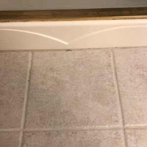 Meet your Posher, Todd